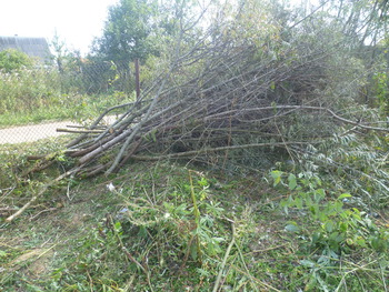 Алексей:  Удаление деревьев, кустов, вывоз мусора