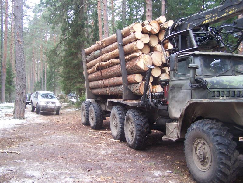 Андрей:  Купить дрова в Боровске, доставка в Боровском районе.