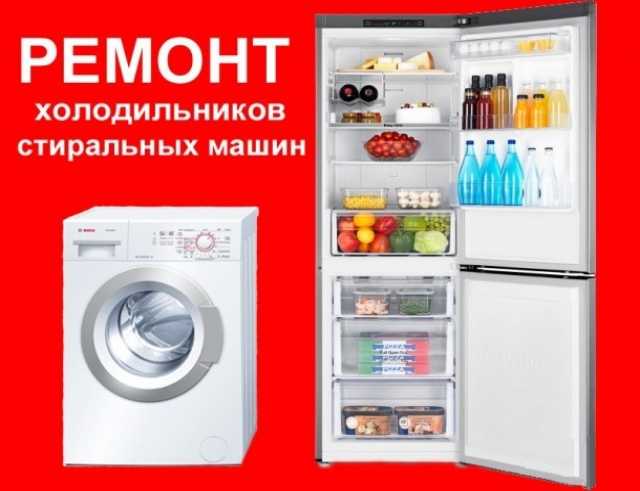 rodion:  Ремонт холодильников и стиральных машин