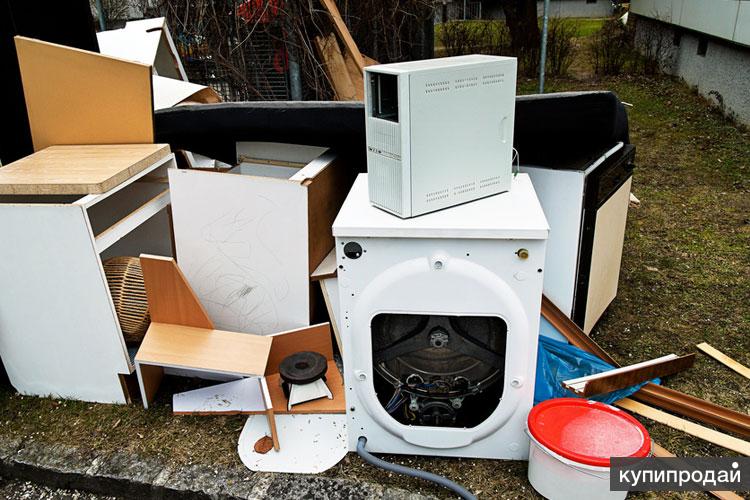 Александр:  Вывоз мусора и мебели на утилизацию