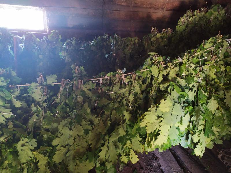 Веники для бани.