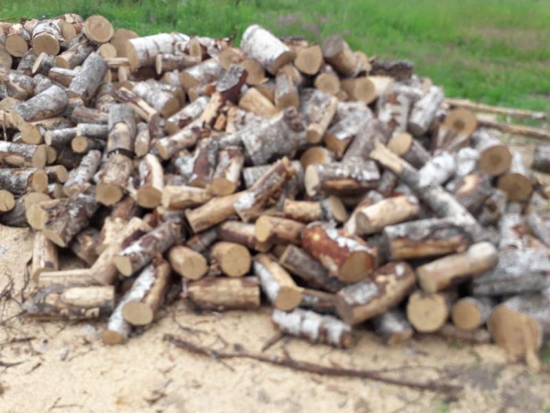 Максим:  Продаём берёзовые и осиновые дрова в чурках