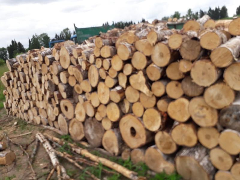 Продаём берёзовые и осиновые дрова в чурках