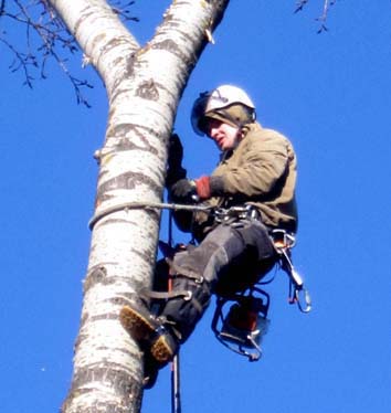 Константин:  Спилить, обрезать дерево в Дмитровском районе