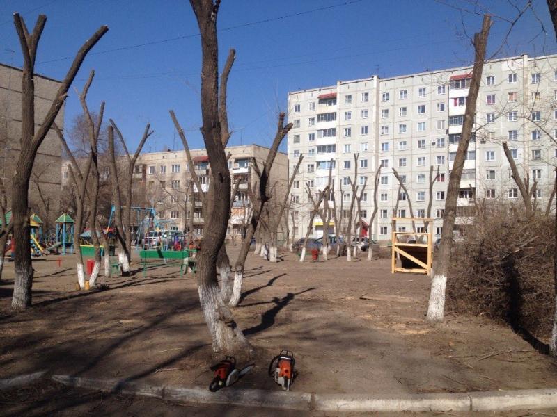 Виталий:  Спилить дерево