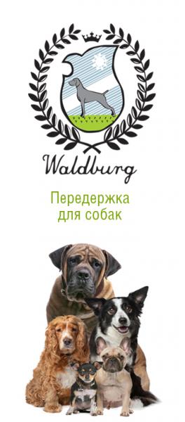 вальдбург:  Передержка для собак I Калининград