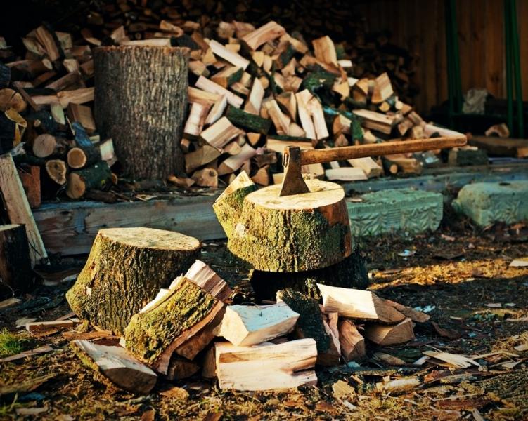 Андрей:  Продажа дров 