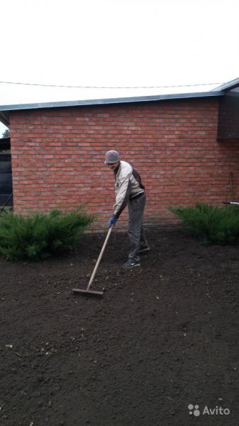 Дмитрий:  Услуги садовника