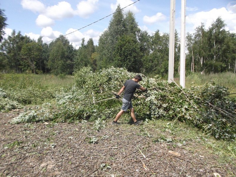 Sergei:  Расчистка участков от древесно-кустарниковой растительности