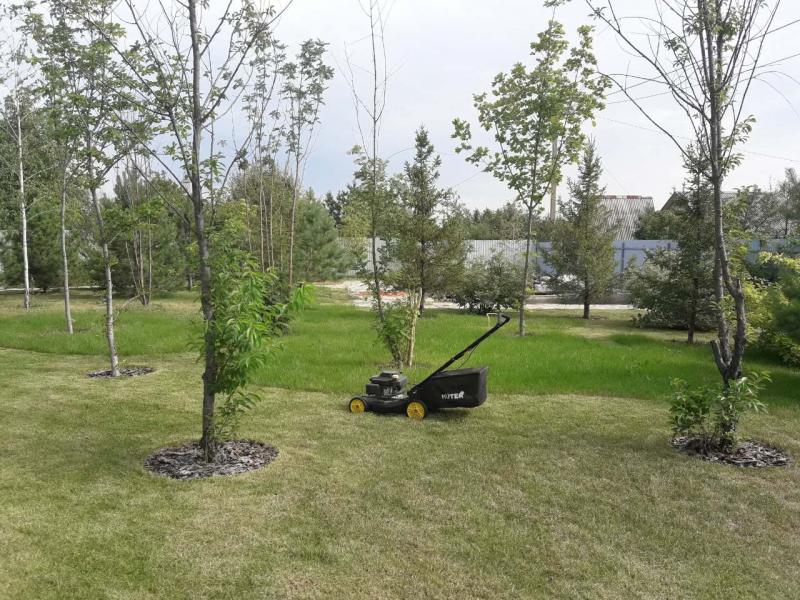 Стрижка газонов.