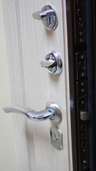 Александр:  Входные надежные металлические двери в дом /квартиру