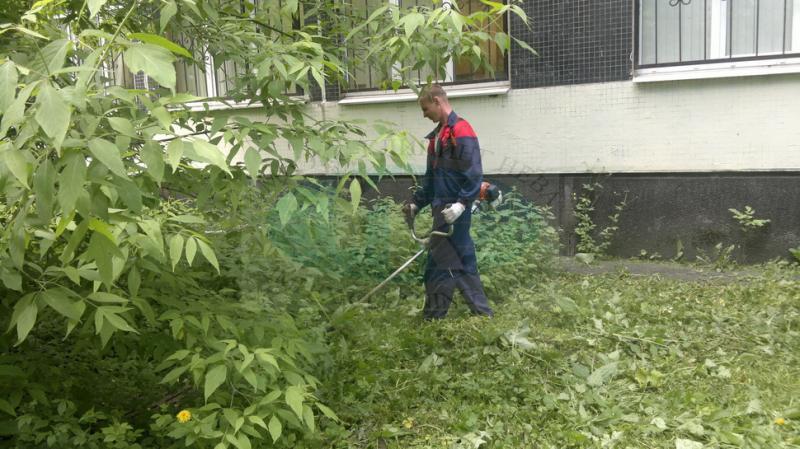 Ярослав:  Покос травы и пилка деревьев