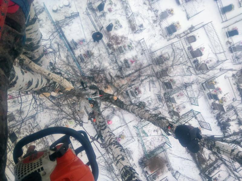 Владимир:  Удаление деревьев - кронирование, спил в Иваново