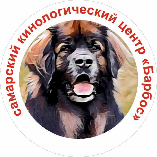 Максим Носков:  Дрессировка собак всех пород