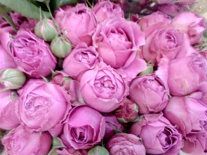 Дом Роз:  Сеть цветочных магазинов с доставкой по Восточному подмосковью