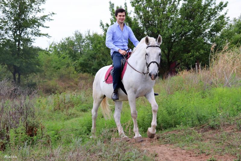 Конный спорт ростов на дону