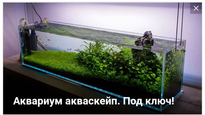 Олег:  Чистка и обслуживание аквариумов. 