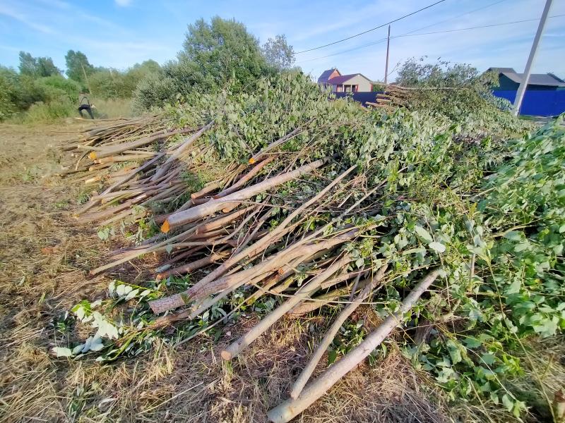 Дмитрий Иванов:  Расчистка участка от кустов и деревьев под строительство. 