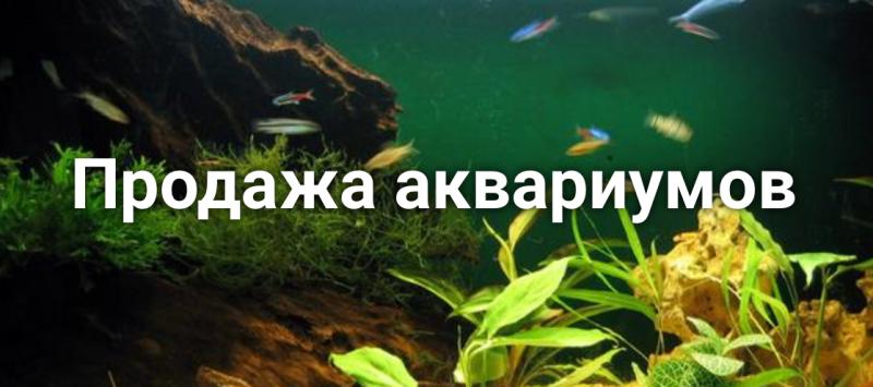 Ильнур Абдрафиков:  Обслуживание аквариумов