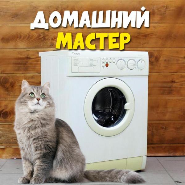Алексей:  Ремонт стиральных машин, холодильников