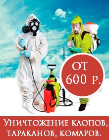 Агра:  Уничтожение тараканов Самара по цене 750 рублей за МОП