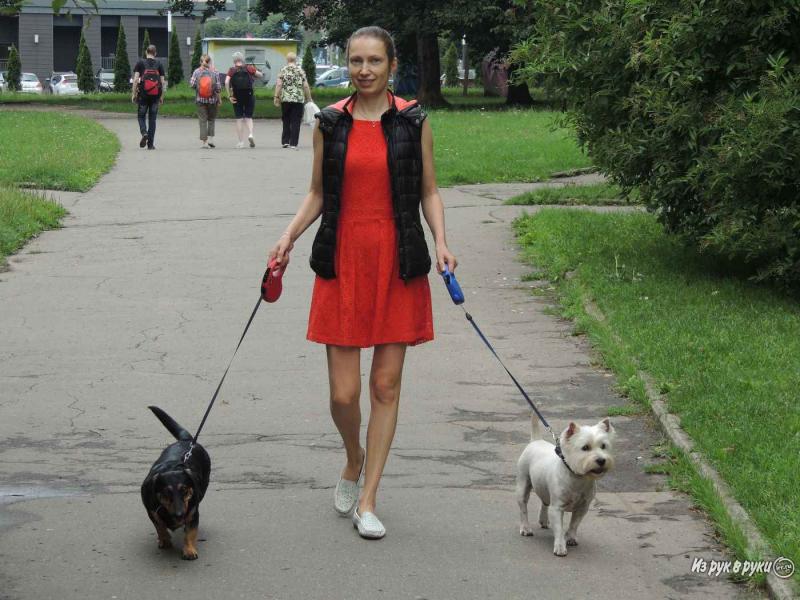 Светлана:   Няня для собак