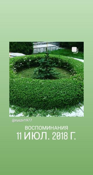 Руслан Викторов:  Садовник , агроном по защите растен
