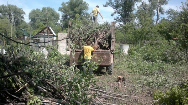 ИП Орлов:  Удаление деревьев и расчистка участков