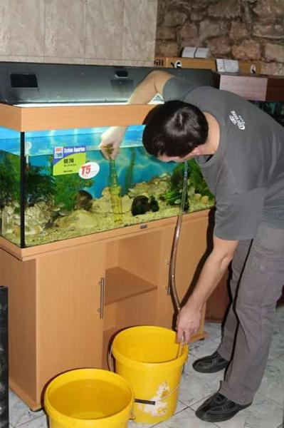 Дмитрий:  Чистка,обслуживание,оформление аквариумов!