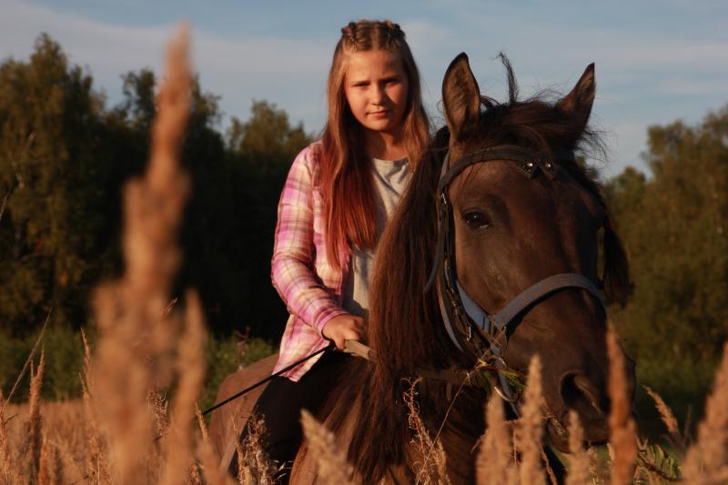 Алла Викторовна:  Верховая езда, конные прогулки, лошади