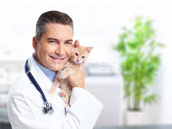 ВелесВет:  Ветеринарный врач на дом