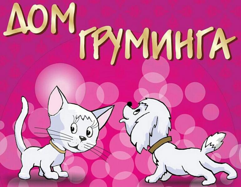 Светлана:  Стрижка  собак и кошек Бердск