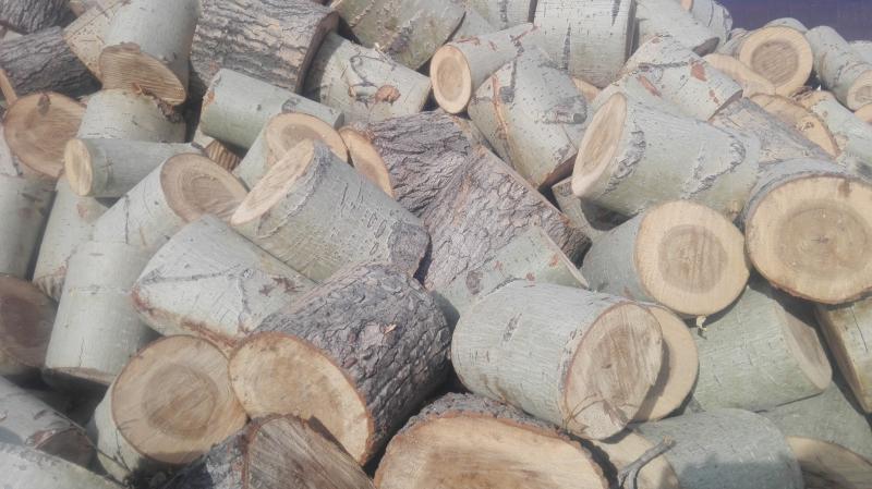 Сергей:  Продажа дров в Алейске (чурки, мелко колотые)