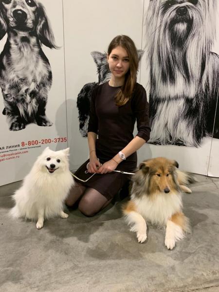 Александра:  Хендлер, подготовка к выставкам собак