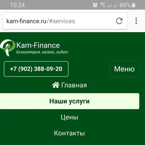 Kam Finance:  Бухгалтерские услуги для бизнеса Kam-Finance