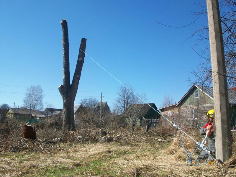 Александр:  Удаление деревьев целиком,частями в Волховском р-не.