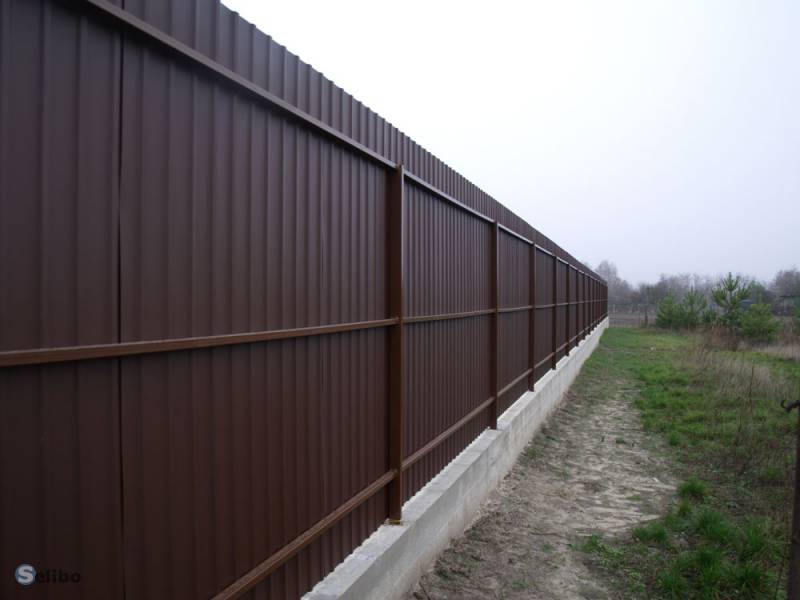Айнур:  Забор из профлиста, ворота, калитки