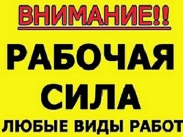 Бригада построит баню из бруса