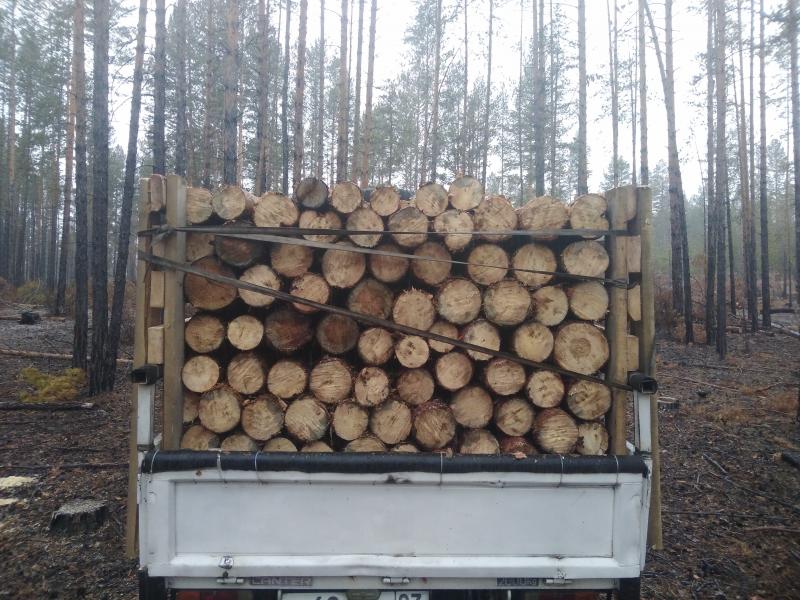 Продаю сухие дрова не гарь!!! 
