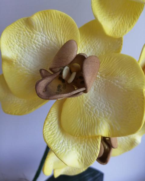 Анастасия :  Орхидеи из фоамирана 