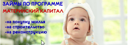 София :  Материнский капитал не дожидаясь 3-х летия ребенка