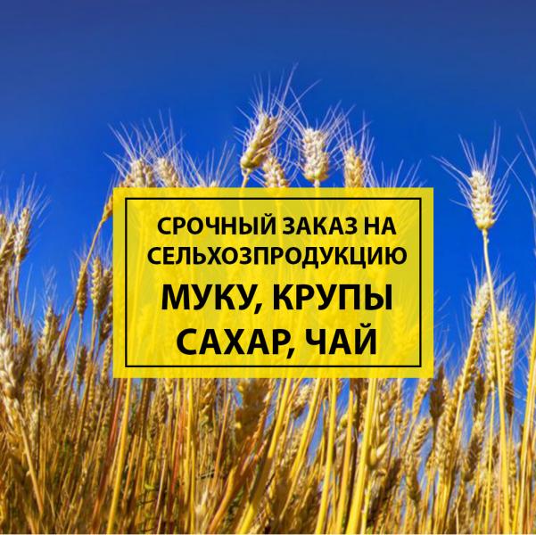 Игорь Луценко:  Есть спрос на Сельхозпродукцию. Большой объём. Срочно купим.