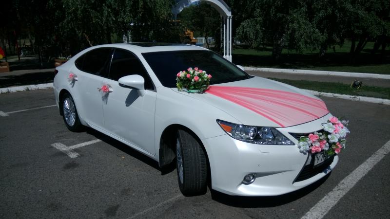 Денис :  Прокат свадебного кортеж Lexus Es, Toyota Camry 