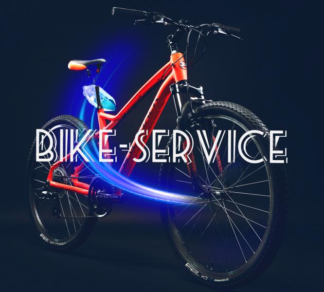 BikeServiCe:  ремонт велосипедов