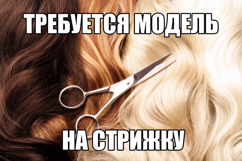 Посоветуйте хорошего парикмахера (Москва)