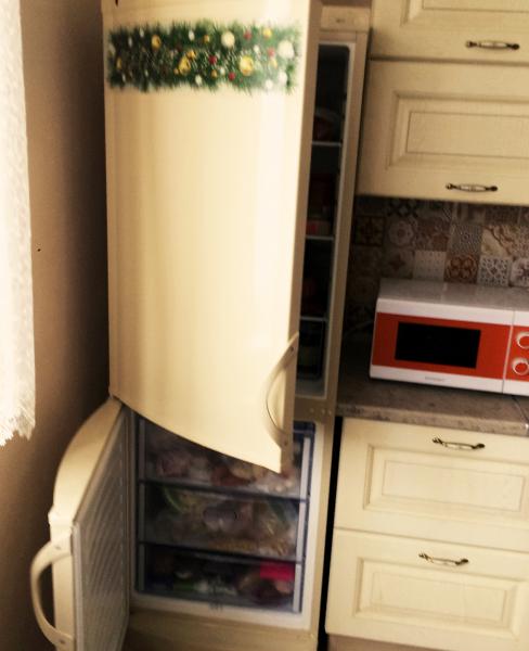 Андрей Быстров:  Ремонт холодильников на дому