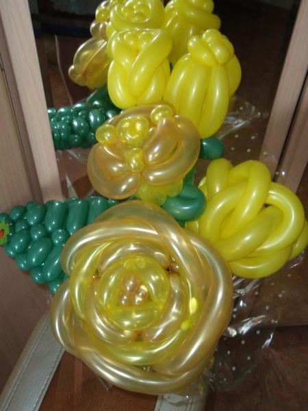 Наталья:   Воздушные шары Фигуры из шаров , шары с гелием! Я предлагаю Вам услуги в области оформления праздников и мероприятий.