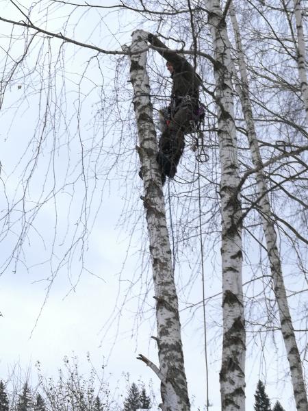 Александр:  Спил, обрезка и удаление деревьев в Сергиев Посаде