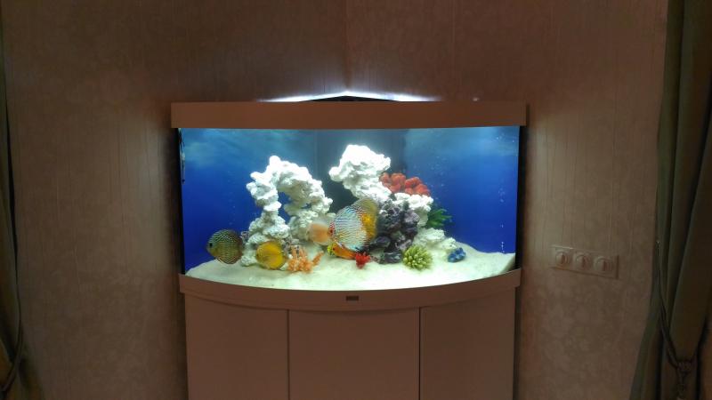 Никита:  Обслуживание аквариумов