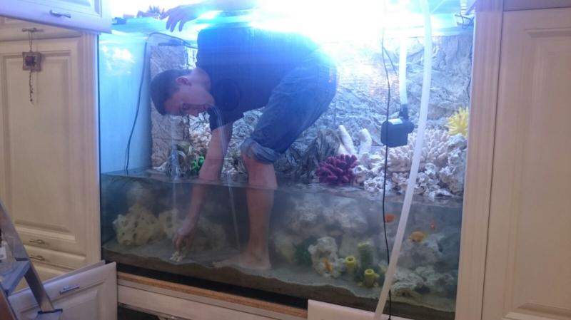 Никита:  Обслуживание аквариумов
